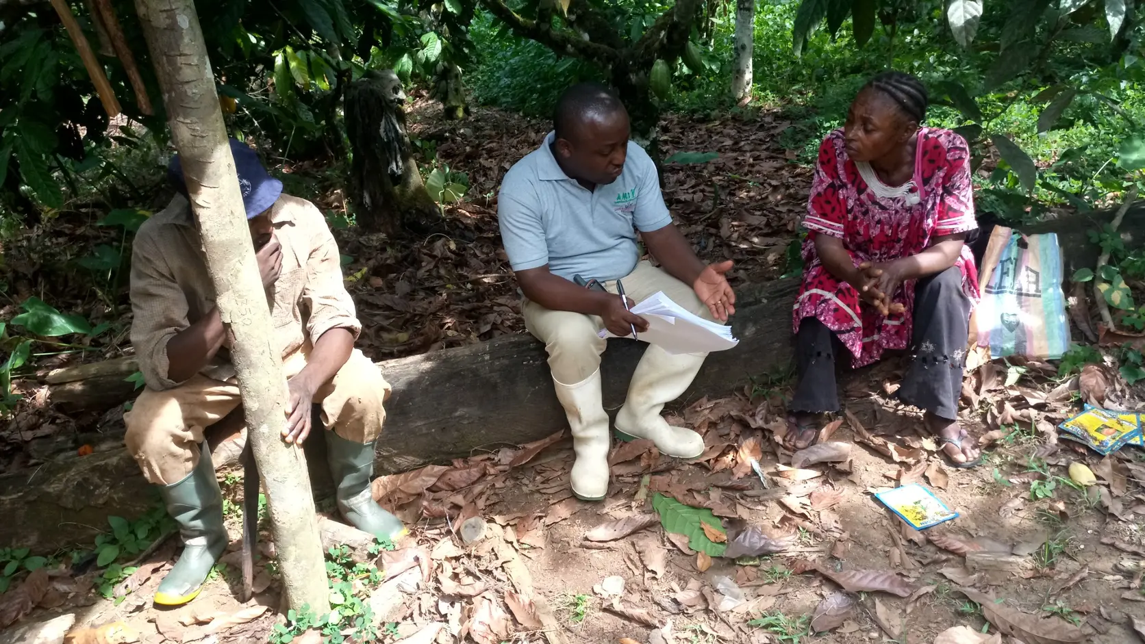 Cocoa farmers participating in practical field training
